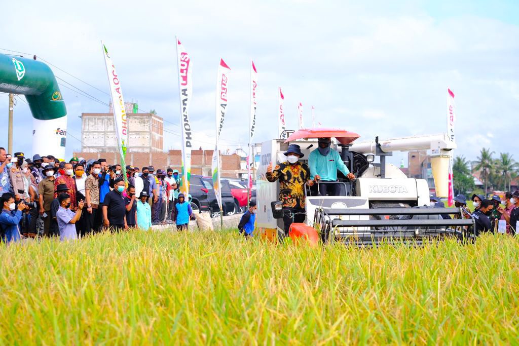 Gunakan Sabit hingga Kemudikan Traktor, Plt Gubernur Sulsel Panen Raya Padi di Sidrap 2 Gunakan Sabit hingga Kemudikan Traktor, Plt Gubernur Sulsel Panen Raya Padi di Sidrap