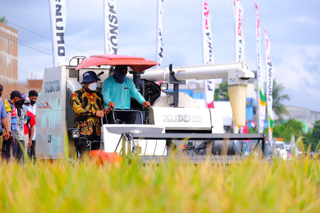 Gunakan Sabit hingga Kemudikan Traktor Plt Gubernur Sulsel Panen Raya Padi di Sidrap