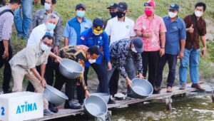 Kembalikan Kejayaan Udang Windu, Plt Gubernur Sulsel Tabur Benih di 1000 ha Tambak