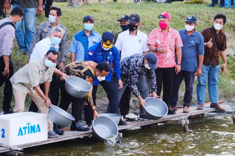 Kembalikan Kejayaan Udang Windu, Plt Gubernur Sulsel Tabur Benih di 1000 ha Tambak 7 Kembalikan Kejayaan Udang Windu, Plt Gubernur Sulsel Tabur Benih di 1000 ha Tambak