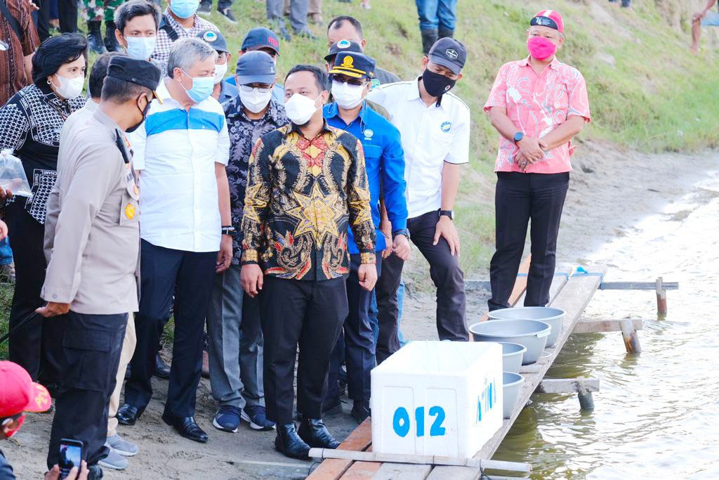 Kembalikan Kejayaan Udang Windu, Plt Gubernur Sulsel Tabur Benih di 1000 ha Tambak