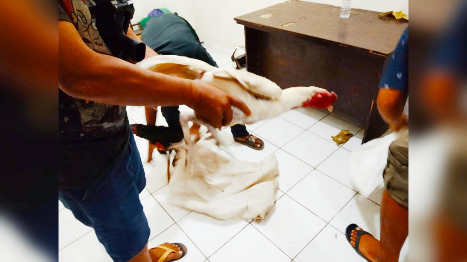 Polsek Bontonompo Grebek Judi Sabung Ayam yang Resahkan Warga