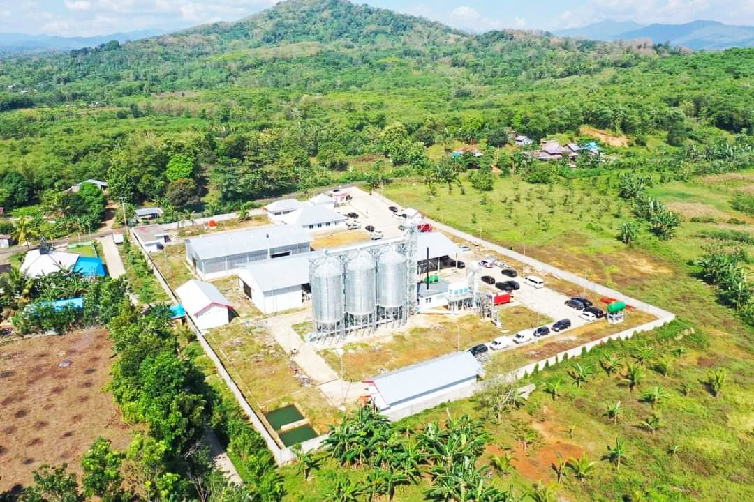 Dorong Kualitas Bibit Unggul, Andi Sudirman Harap Sulsel Jadi Provinsi Mandiri Benih 3 Dorong Kualitas Bibit Unggul, Andi Sudirman Harap Sulsel Jadi Provinsi Mandiri Benih