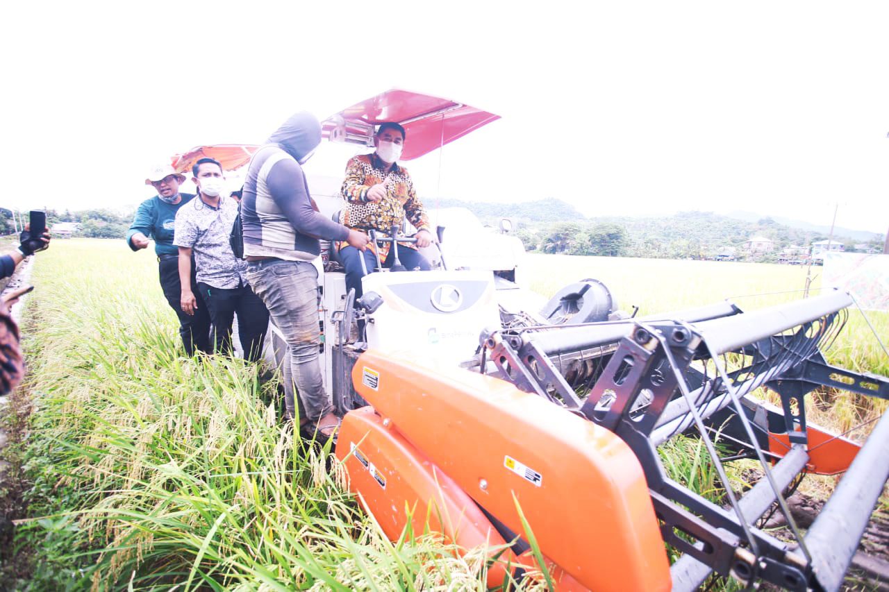 Abdul Hayat Support Pemanfaatan Lahan dengan Panen Raya Padi