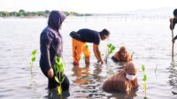 KAPABEL dan Warga Akan Tanam 25 Ribu Bibit Mangrove di Pinrang