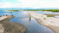 Warga Bersemangat Tanam Mangrove, Wujud Nyata Perbaikan Hilir Sungai Saddang