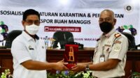 Bulukumba akan Dijadikan Pilot Project untuk Ekspor Manggis