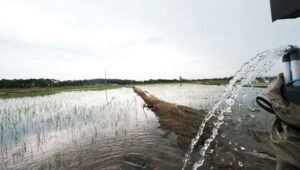 Berhasil Hemat Biaya Operasional 50%, Semakin Banyak Petani di Soppeng Gunakan Listrik