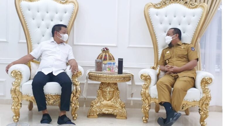 Anggota DPR RI Rusdi Masse Temui Plt Gubernur Sulsel