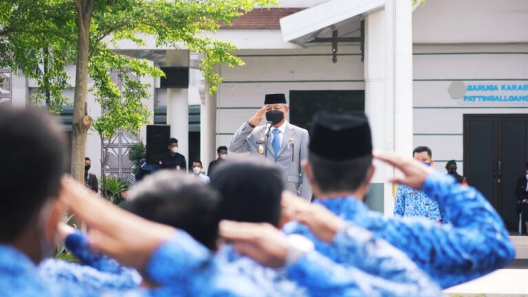 Wabup Gowa Ajak Pemuda Bangkitkan Perekonomian di Masa Pandemi Covid-19 6 Wabup Gowa Ajak Pemuda Bangkitkan Perekonomian di Masa Pandemi Covid-19