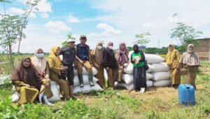 Kepala UPT BPP Limbung Gowa Hadiri Pengambilan Ubinan di Desa Panciro
