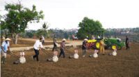 Tanam Jagung Bareng Jokowi dan Petani di Jeneponto, Plt Gubernur Harap Produksi Sulsel Topang Kebutuhan Nasional