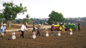 Tanam Jagung Bareng Jokowi dan Petani di Jeneponto, Plt Gubernur Harap Produksi Sulsel Topang Kebutuhan Nasional