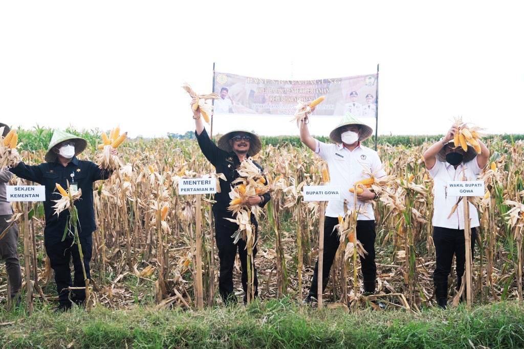Panen Raya Jagung Bersama Mentan RI, Adnan Sebut Bentuk Kontribusi Gowa Terhadap Nasional 2 Panen Raya Jagung Bersama Mentan RI, Adnan Sebut Bentuk Kontribusi Gowa Terhadap Nasional