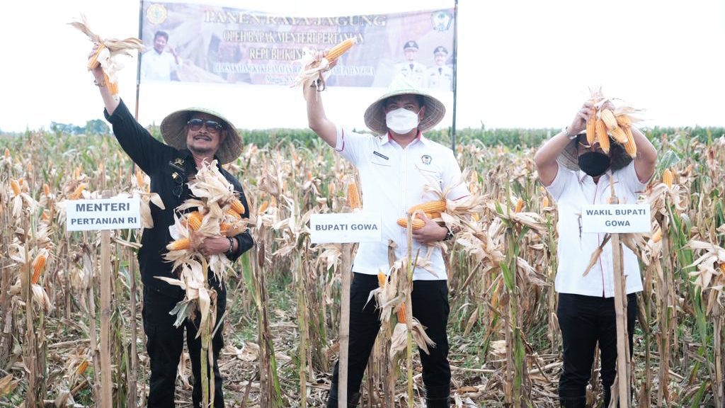 Panen Raya Jagung Bersama Mentan RI, Adnan Sebut Bentuk Kontribusi Gowa Terhadap Nasional
