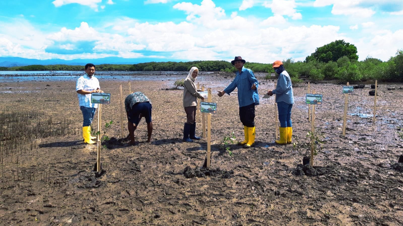 Hijaukan Indonesia, Pelindo Regional 4 Tanam 31.250 Bibit Mangrove di Jeneponto