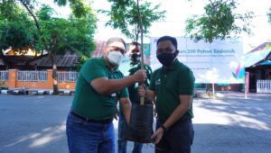 PLN UIW Sulselrabar Beri Bantuan Pohon Produktif dan Endemik sebesar Rp150  juta