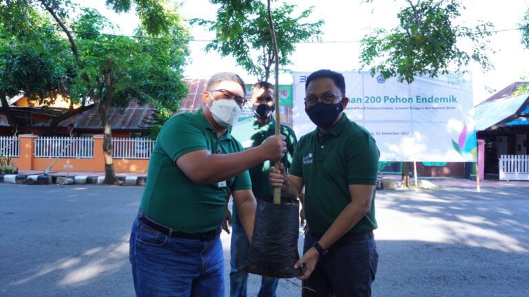 PLN UIW Sulselrabar beri bantuan Pohon Produktif dan Endemik sebesar Rp150 juta