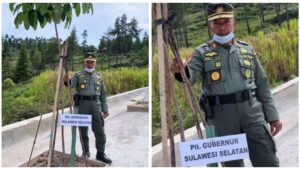 5 Ribu Bibit Pohon Sudah Ditanami di Area Bandara Toraja