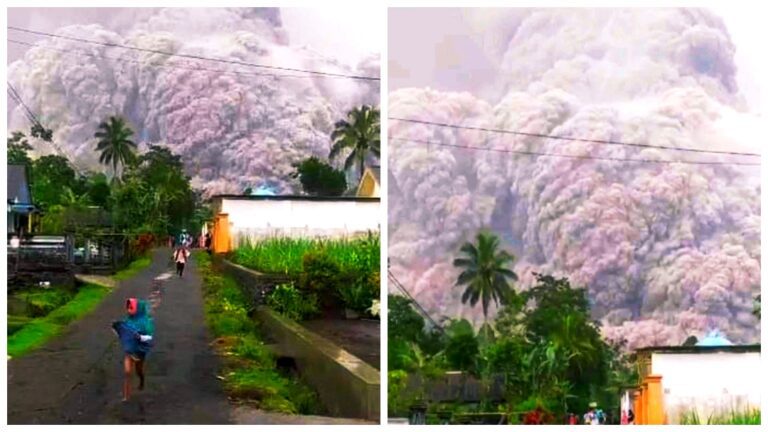 Gunung Semeru Erupsi, Plt Gubernur harap warga terdampak bisa cepat pulih dan bangkit