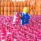 Jelang Tahun Baru 2022, Stok LPG Nasional Aman, Pertamina Siaga 24 Jam