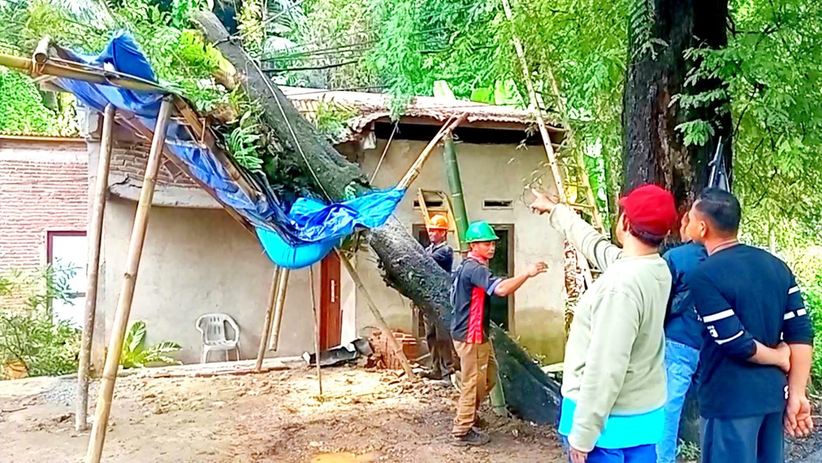 Pohon Tumbang Timpa Rumah dan Jaringan Listrik di Poros Bantimurung