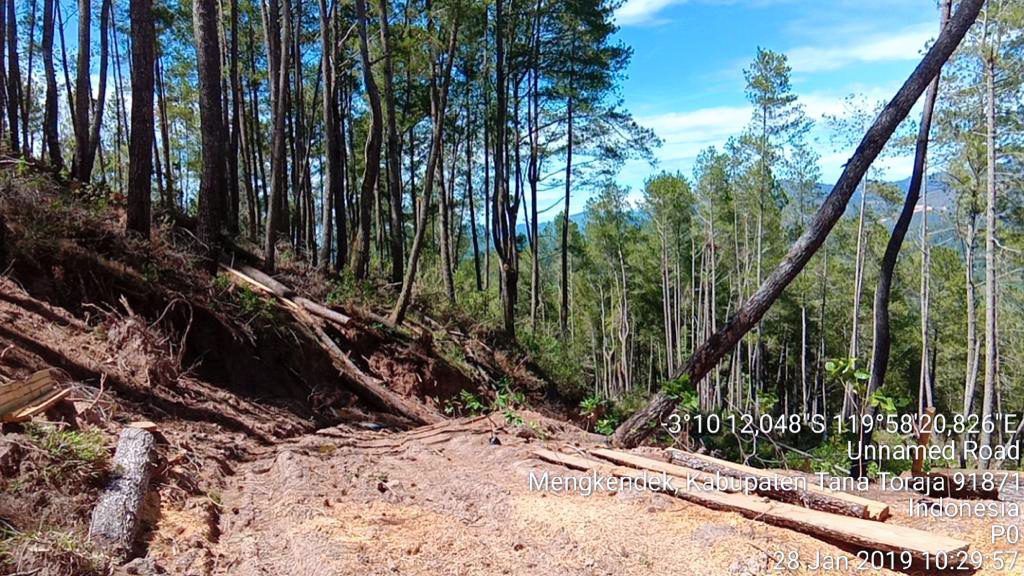 MA Putuskan Hutan Lindung Latimojong Tana Toraja Sah Kawasan Hutan 2 MA Putuskan Hutan Lindung Latimojong Tana Toraja Sah Kawasan Hutan