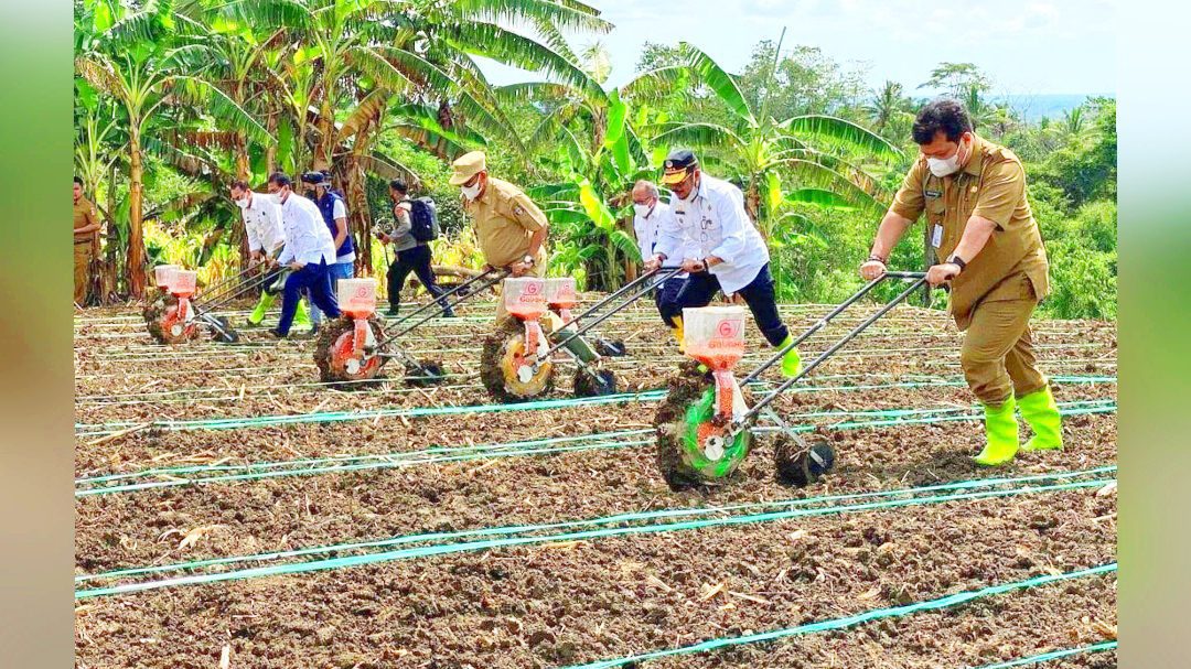 Kemal Redindo Hadirkan Program 'Integrated Farming System' yang Mampu Tingkatkan Ketahanan Pangan