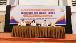 Pemprov Sulsel Dorong Optimalisasi Pengelola BUMD yang Baik