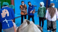 Lebih Berkualitas, Alasan Kenapa Harus Pilih Daging Sapi Berdikari