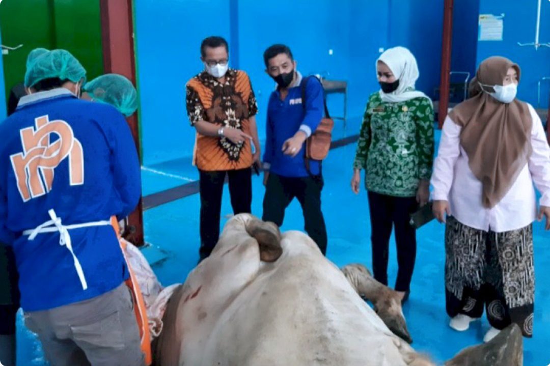 Lebih Berkualitas, Alasan Kenapa Harus Pilih Daging Sapi Berdikari