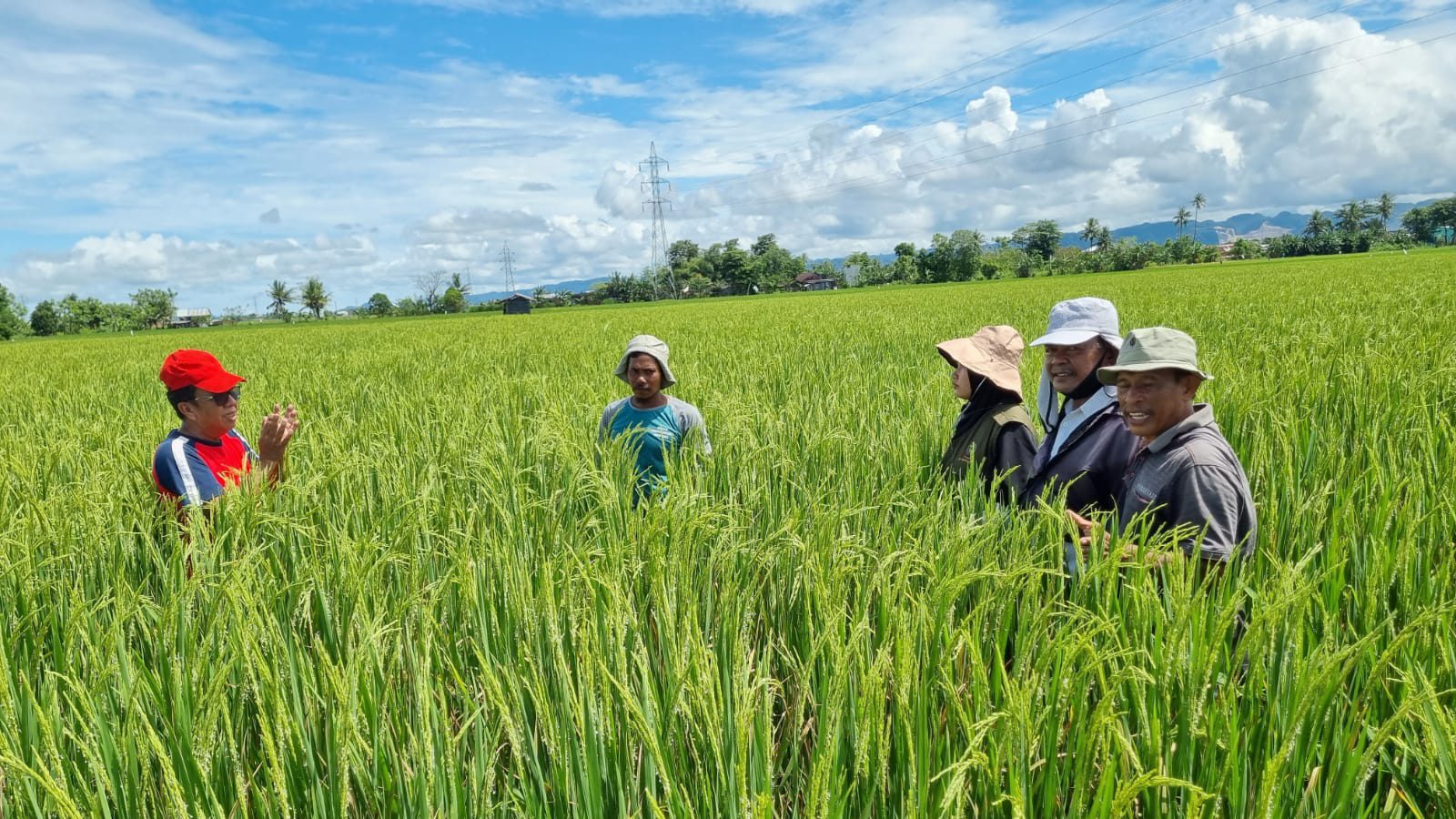 Dorong Produktivitas Pertanian, Andi Sudirman Inisiasi Mandiri Benih Untuk Petani