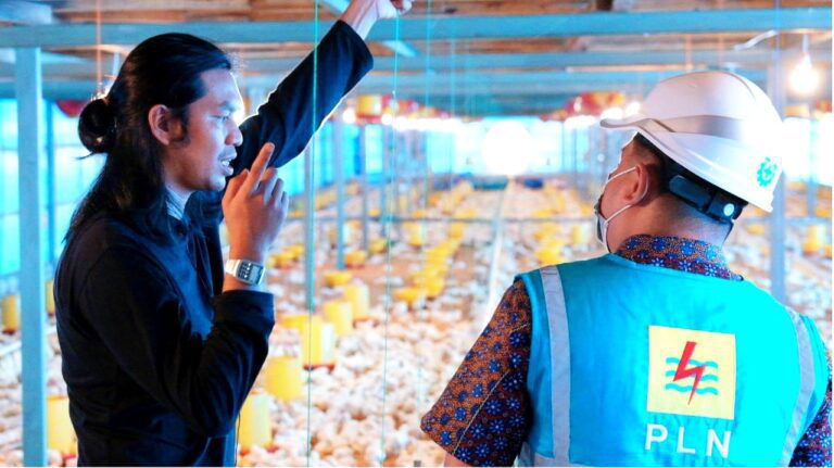 Lebih Hemat, Peternak Milenial asal Sulsel Gunakan Listrik PLN untuk Industri Peternakan 4.0 4 Lebih Hemat, Peternak Milenial asal Sulsel Gunakan Listrik PLN untuk Industri Peternakan 4.0