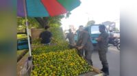 Satpol PP Tertibkan PKL di Jl. Abdullah Dg. Sirua