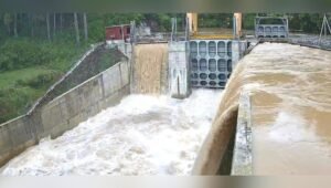 Telah Beroperasi, PLTM Madong Tingkatkan Penggunaan Energi Hijau di Sulsel