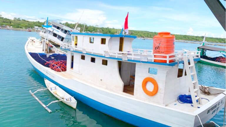 Andi Sudirman Beri Bantuan Kapal dan Alat Tangkap untuk Nelayan di Selayar 6 Andi Sudirman Beri Bantuan Kapal dan Alat Tangkap untuk Nelayan di Selayar