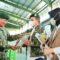 Wali Kota Danny Dikukuhkan sebagai Warga Kehormatan Divisi Infanteri 3 Kostrad