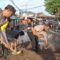 Tanggapi Keresahan Warga, Kapolsek Manggala Berinisiatif Timbun Jalan Rusak