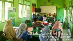 Antisipasi PMK, Dinas Pertanian Pangkep Aktif Monitoring di Pedagang Ternak
