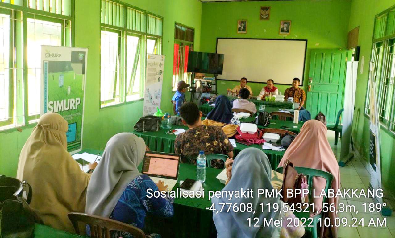 Antisipasi PMK, Dinas Pertanian Pangkep Aktif Monitoring di Pedagang Ternak