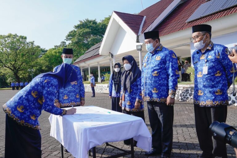 PPPK Terima Pengangkatan dari Andi Sudirman, Mulai dari Tuna Netra Hingga Mengabdi 20 Tahun 5 PPPK Terima Pengangkatan dari Andi Sudirman, Mulai dari Tuna Netra Hingga Mengabdi 20 Tahun