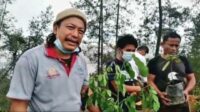 Sulsel Hatrik Raih Kalpataru, Tahun ini dari Toraja Utara