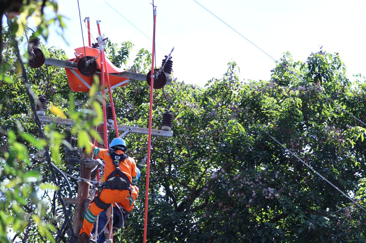 Tim Khusus PLN Pelihara Jaringan di Makassar dan Sekitarnya Tanpa Padam 2 Tim Khusus PLN Pelihara Jaringan di Makassar dan Sekitarnya Tanpa Padam
