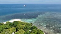 Hidupkan Kembali Surga Bawah Laut di Selat Makassar