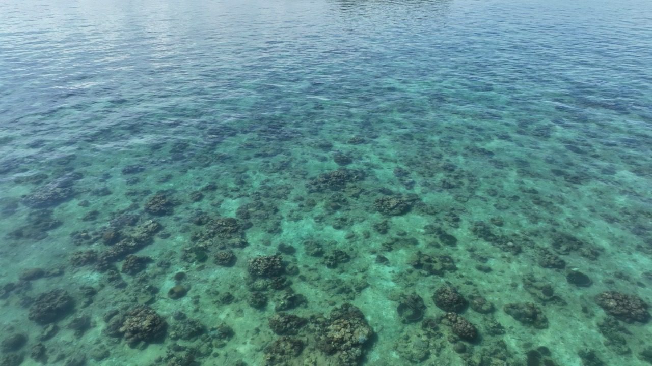 Hidupkan Kembali Surga Bawah Laut di Selat Makassar