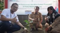 Wujudkan Lingkungan Hijau, PLN Tanam 500 Pohon Produktif di Pulau Barrang Lompo
