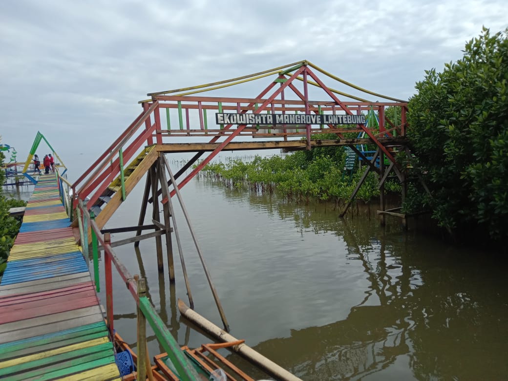 Kecamatan Tamalanrea Bakal Sulap Hutan Manggrove Lantebung jadi Lorong Wisata Unggulan