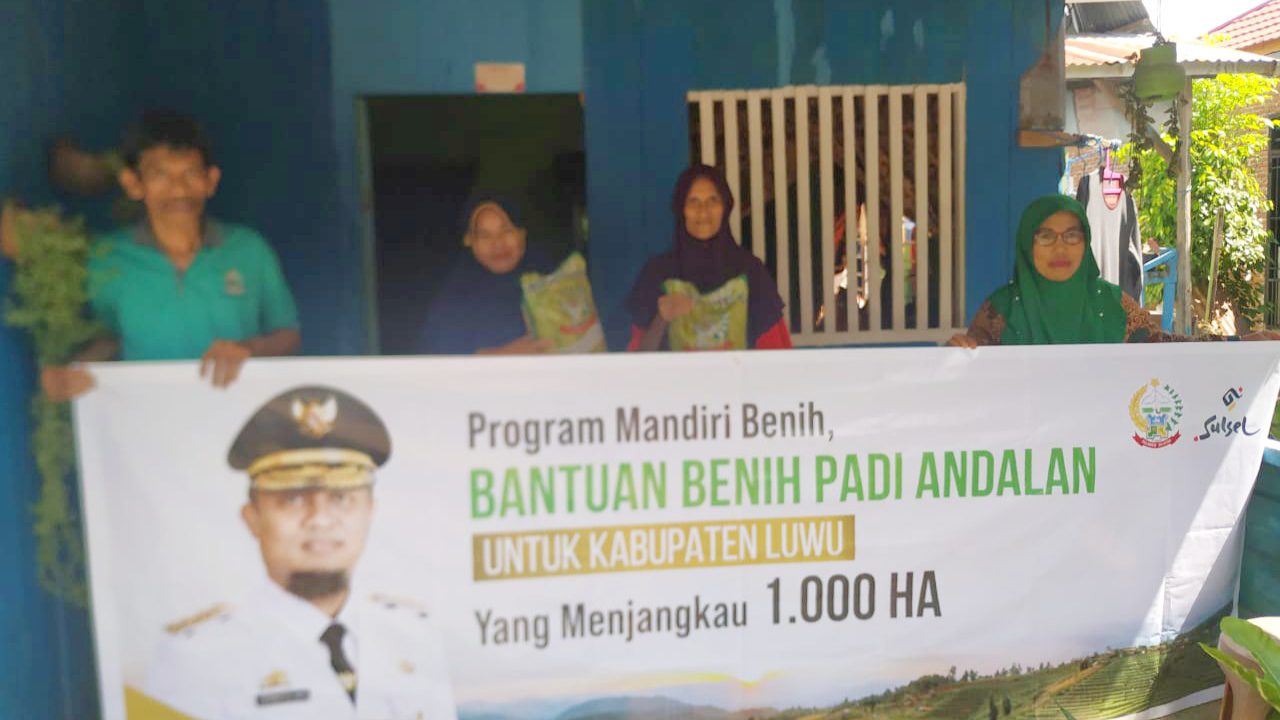1000 hektar lahan di Luwu Dapat Bantuan Benih Andalan ‘Mandiri Benih’