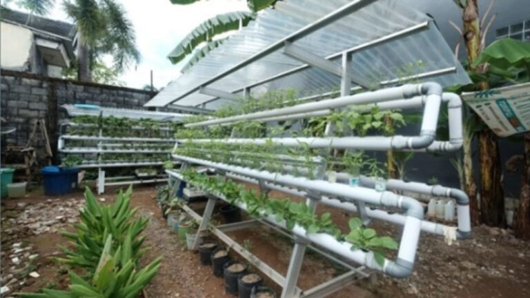 PLN UIW Sulselrabar Bantu Pengembangan Kampung Sayur Hidroponik Kelompok Wanita Toddopuli