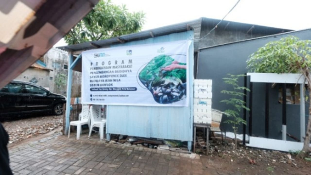 PLN UIW Sulselrabar Bantu Pengembangan Kampung Sayur Hidroponik Kelompok Wanita Toddopuli